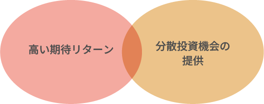 高い期待リターン　分散投資機会の提供