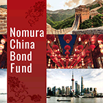 野村中国債券ファンド(年2回決算型)