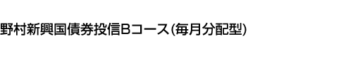 野村新興国債券投信Bコース(毎月分配型)