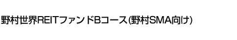 野村世界REITファンドBコース(野村SMA向け)