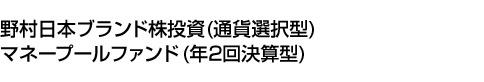 野村日本ブランド株投資 (通貨選択型) マネープールファンド (年2回決算型)