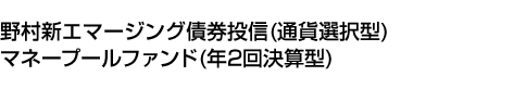 野村新エマージング債券投信(通貨選択型)マネープールファンド(年2回決算型)