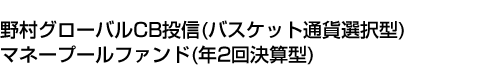 野村グローバルCB投信(バスケット通貨選択型)マネープールファンド(年2回決算型)