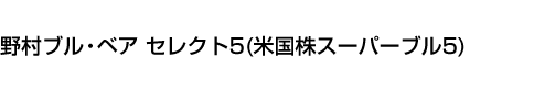 野村ブル・ベア セレクト5(米国株スーパーブル5)