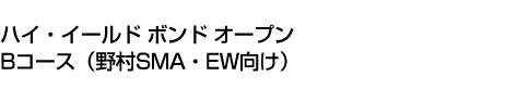 ハイ・イールド ボンド オープン Bコース(野村SMA・EW向け)