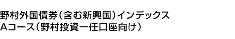 野村外国債券(含む新興国)インデックス Aコース(野村投資一任口座向け)