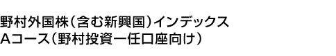 野村外国株(含む新興国)インデックス Aコース(野村投資一任口座向け)