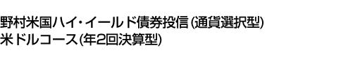 野村米国ハイ・イールド債券投信 (通貨選択型) 米ドルコース (年2回決算型)