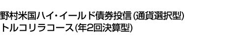 野村米国ハイ・イールド債券投信 (通貨選択型) トルコリラコース (年2回決算型)