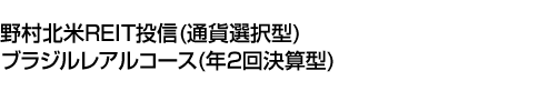 野村北米REIT投信(通貨選択型)ブラジルレアルコース(年2回決算型)