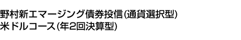 野村新エマージング債券投信(通貨選択型)米ドルコース(年2回決算型)