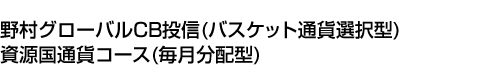 野村グローバルCB投信(バスケット通貨選択型)資源国通貨コース(毎月分配型)