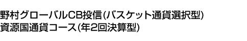 野村グローバルCB投信(バスケット通貨選択型)資源国通貨コース(年2回決算型)