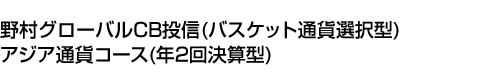 野村グローバルCB投信(バスケット通貨選択型)アジア通貨コース(年2回決算型)