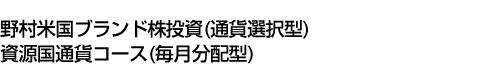 野村米国ブランド株投資(通貨選択型)資源国通貨コース(毎月分配型)