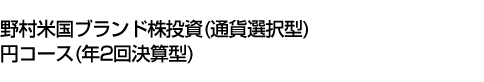 野村米国ブランド株投資(通貨選択型)円コース(年2回決算型)