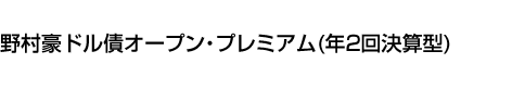 野村豪ドル債オープン・プレミアム(年2回決算型)