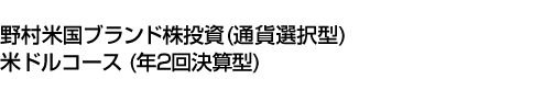 野村米国ブランド株投資(通貨選択型)米ドルコース(年2回決算型)