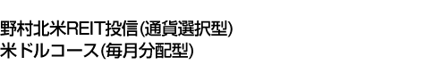 野村北米REIT投信(通貨選択型)米ドルコース(毎月分配型)