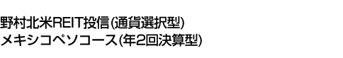 野村北米REIT投信(通貨選択型)メキシコペソコース(年2回決算型)