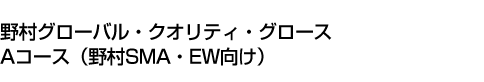 野村グローバル・クオリティ・グロース　Aコース(野村SMA・EW向け)