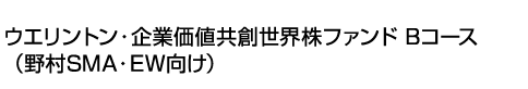 ウエリントン・企業価値共創世界株ファンド Bコース(野村SMA・EW向け)