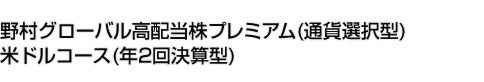 野村グローバル高配当株プレミアム (通貨選択型) 米ドルコース(年2回決算型)