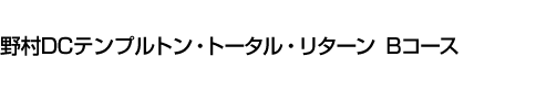 野村DCテンプルトン・トータル・リターン Bコース