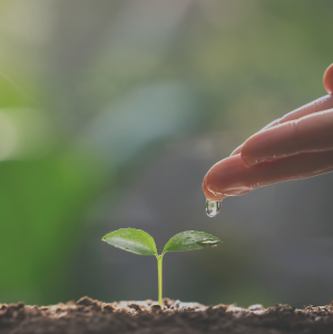 品質への取り組み