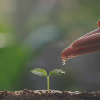 品質への取り組み