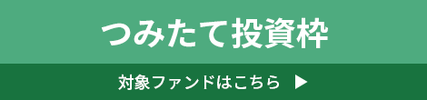 つみたて投資枠