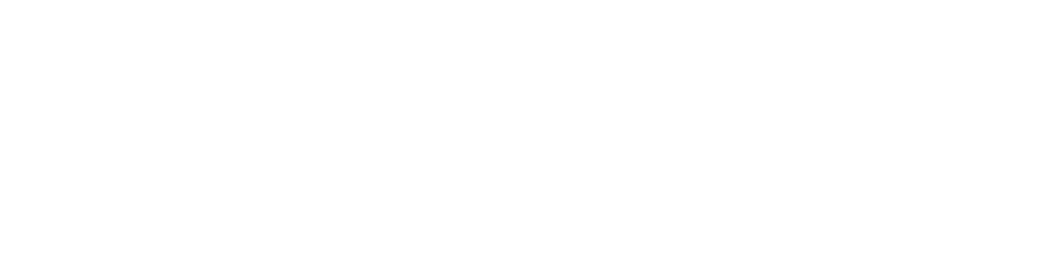 Information Electronics Fund