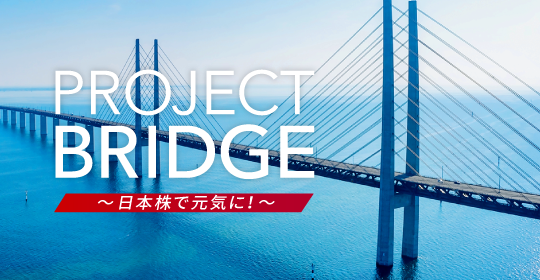 PROJECT BRIDGE