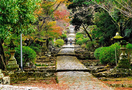 英彦山神宮の参道